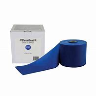 Image result for Thera-Band Blue