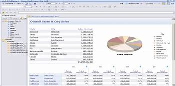 Image result for SAP Business Objects Report