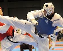 Image result for Martial Arts