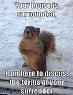 Image result for Squirel Bad Day Meme