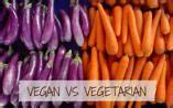 Image result for Vegan vs Omnivore