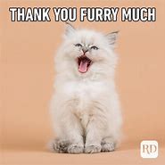 Image result for Funny Thank You Meme