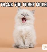 Image result for Thank You It Meme