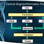 Image result for Central Dogma Epigenetics