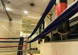 Image result for Combo Punch Boxing
