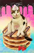 Image result for Cat with Food Meme