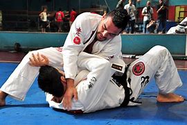Image result for Brazilian Jiu Jitsu Self-Defense