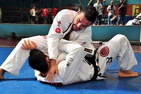 Image result for Brazilian Jiu Jitsu GI