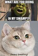 Image result for Shrek Swamp Meme