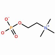 Image result for phosphorylcholine