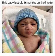 Image result for Funniest Memes This Week