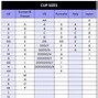 Image result for iPhone 14 Plus Size Chart