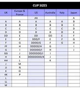 Image result for Europe Cup Size