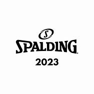 Image result for Spalding Ball Original NBA