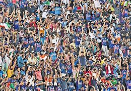 Image result for Cricket Crowd Sun