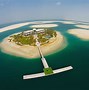 Image result for Palm Tree Island