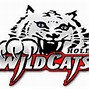 Image result for Wildcat Logo Clip Art Free