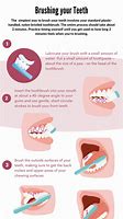 Image result for How to Brush Teeth