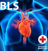 Image result for BLS for Health Care Providers