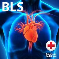 Image result for BLS CPR Course
