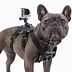 Image result for Cool GoPro Accessories
