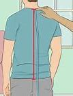 Image result for How to Measure Torso Length