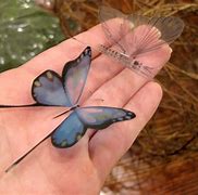 Image result for Butterfly Eyeglass Holder Stands