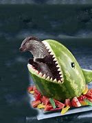 Image result for Otter Eating Watermelon Meme
