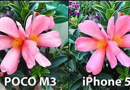 Image result for iPhone 5C Camera Test