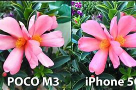 Image result for iPhone 5C Camera Testt