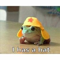 Image result for Frog with Hat Meme