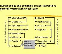 Image result for What Is Local Scale