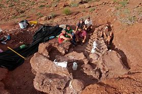 Image result for Largest Dinosaur Found in Argentina