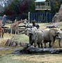 Image result for Zoo Place