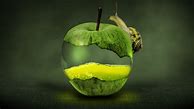 Image result for Creative Apple Wallpaper