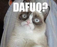 Image result for Confused Meme Grumpy Cat