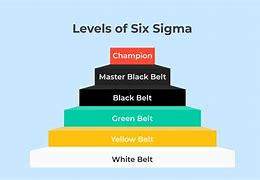 Image result for Six Sigma Structure