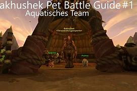 Image result for Bakhushek Pet Battle