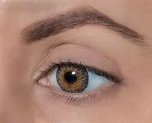 Image result for Grey Contact Lenses