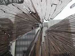 Image result for Torn Window Screen