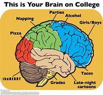 Image result for Brain Scan Meme