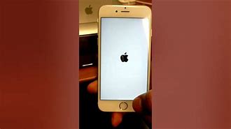 Image result for Why There Is iPhone without Apple in the Back