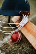 Image result for The Word Cricket with a Bat