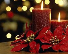 Image result for Winter Christmas Flowers Wallpaper