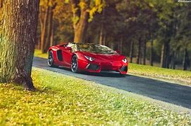 Image result for Race Car Red Wine Image