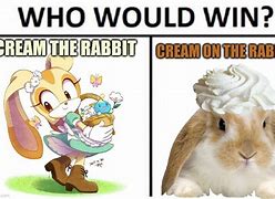 Image result for Cream This Rabbit Meme