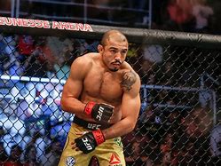 Image result for Top 10 Best MMA Fighters
