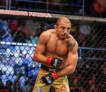 Image result for Top 20 UFC Fighters