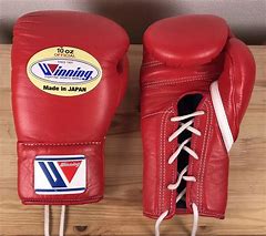 Image result for Winning Boxing Gloves