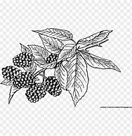Image result for BlackBerry Pearl Black and White